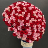 Букет гигант из 201 розы Ред Игл и Пинк Аваланш
