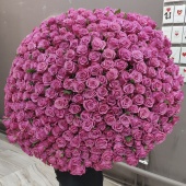 Букет гигант из 301 розовой розы Кис ми кейт