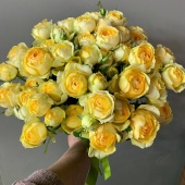 15 Кустовых роз Сильва Санни