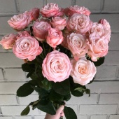 Букет из 5 пионовидных кустовых роз Мадам Бомбастик