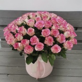75 Бело розовых роз в шляпной коробке