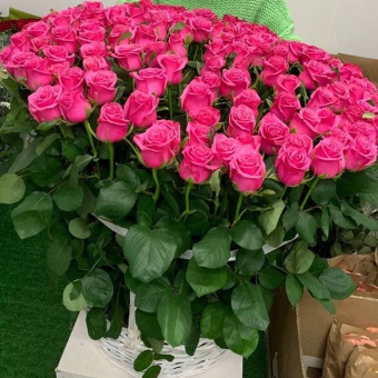 Корзина из 151 розовой розы