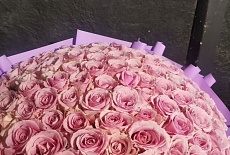 101 роза розовая высокая