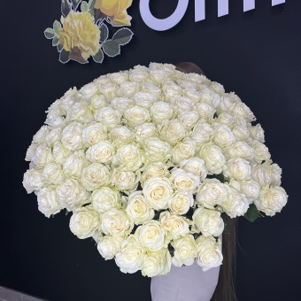 101 Импортная белая роза Mondial